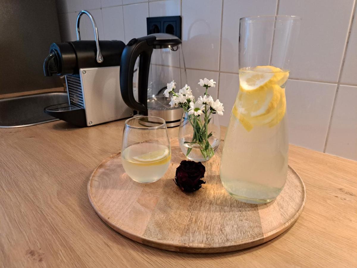 Gemuetliche Helle Ferienwohnung Dresda Esterno foto